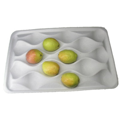 15 cells biodegradable paper pulp dry pressing avocado package tray