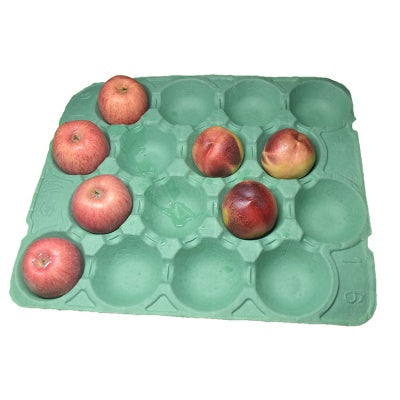16 holes paper pulp biodegradable apple tray