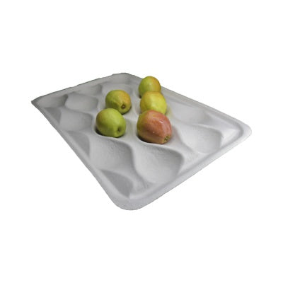 15 cells biodegradable paper pulp dry pressing avocado package tray