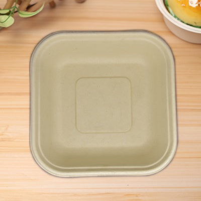 Biodegradable bagasse 6.5 inch square fruit tray