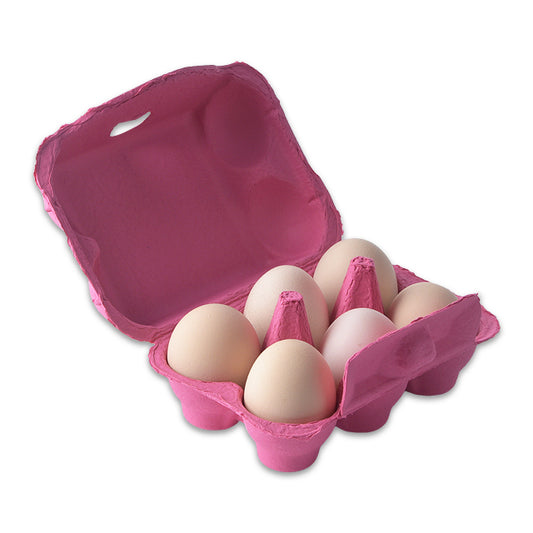 Paper Pulp 6 Egg Carton For Chicken Eggs