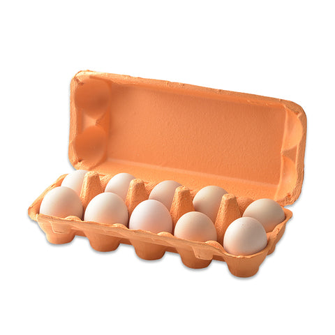 Paper Pulp 10 Egg Carton For Chicken Eggs