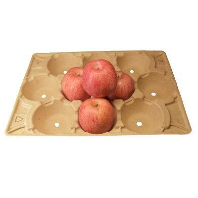 Paper pulp biodegradable 10 holes fruit tray for apples