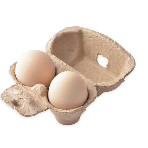 Paper Pulp 2 Egg Carton For Chicken Eggs