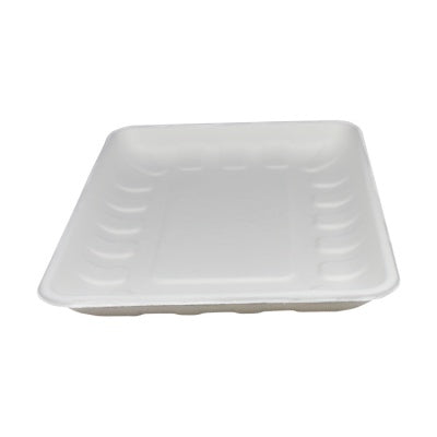 Bagasse pulp biodegradable paper fruit tray 10.9*8 inch