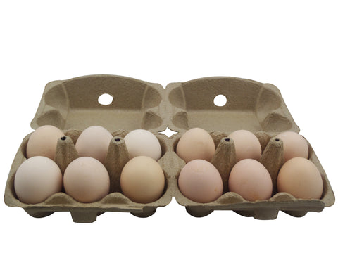 Paper Pulp 6+6 Egg Carton For Chicken Eggs