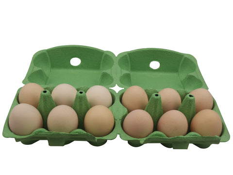 Paper Pulp 6+6 Egg Carton For Chicken Eggs