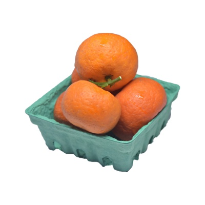 Custom color bidegradable paper pulp cherry basket