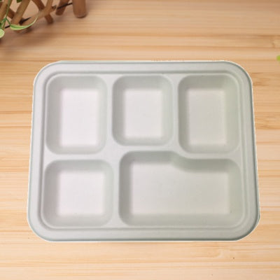 5 Compartment Rectangular Bagasse/Surgacane School Lunch Trays