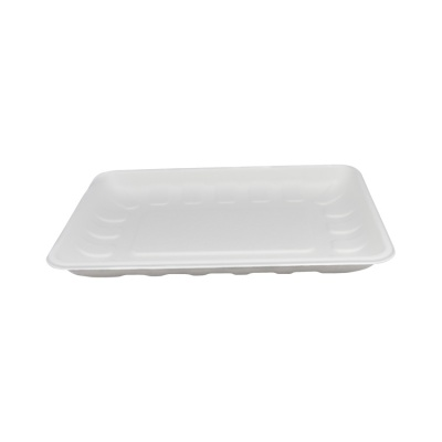 Bagasse pulp biodegradable paper fruit tray 10.9*8 inch