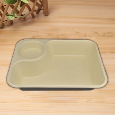2 compartment bagasse biodegradable food tray  8.8x6.3 inch